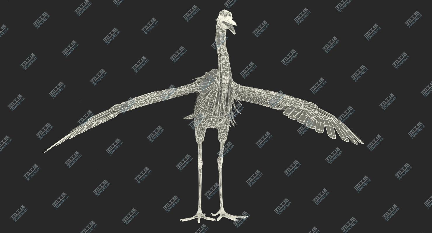 images/goods_img/202104092/Great Blue Heron Rigged for Maya 3D model/3.jpg